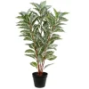 Real Touch Zebra Plant In Nursery Planter-Kirkland's Home Cheap