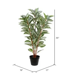 Real Touch Zebra Plant In Nursery Planter-Kirkland's Home Cheap