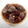Red Glitter Cinnamon Pinecones Potpourri-Kirkland's Home Hot