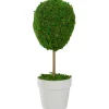 Reindeer Moss Ball Topiary In White Pot-Kirkland's Home Sale
