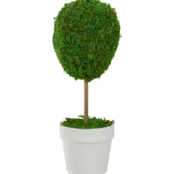 Reindeer Moss Ball Topiary In White Pot-Kirkland's Home Sale