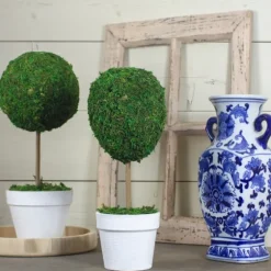 Reindeer Moss Ball Topiary In White Pot-Kirkland's Home Sale