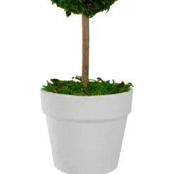 Reindeer Moss Ball Topiary In White Pot-Kirkland's Home Sale