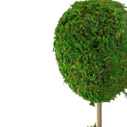 Reindeer Moss Ball Topiary In White Pot-Kirkland's Home Sale