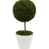 Reindeer Moss Ball Topiary In White Planter-Kirkland's Home Best Sale