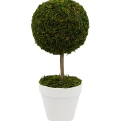 Reindeer Moss Ball Topiary In White Planter-Kirkland's Home Best Sale