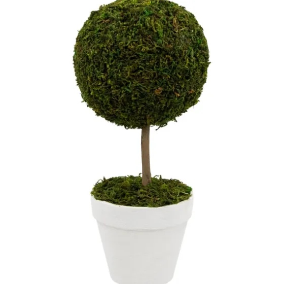 Reindeer Moss Ball Topiary In White Planter-Kirkland's Home Best Sale