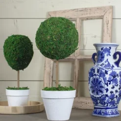 Reindeer Moss Ball Topiary In White Planter-Kirkland's Home Best Sale