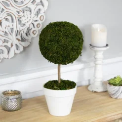 Reindeer Moss Ball Topiary In White Planter-Kirkland's Home Best Sale