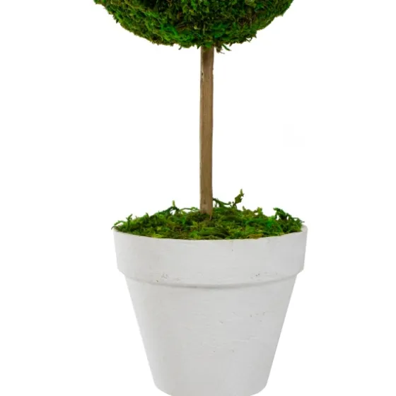 Reindeer Moss Ball Topiary In White Planter-Kirkland's Home Best Sale