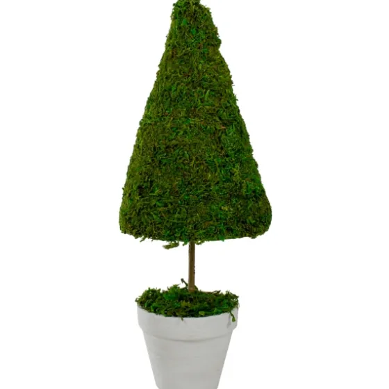 Reindeer Moss Cone Topiary In White Planter-Kirkland's Home Outlet