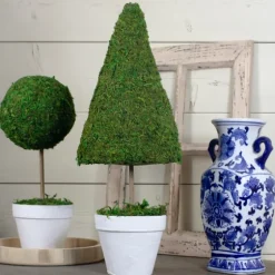 Reindeer Moss Cone Topiary In White Planter-Kirkland's Home Outlet