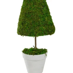 Reindeer Moss Cone Topiary In White Planter-Kirkland's Home Outlet