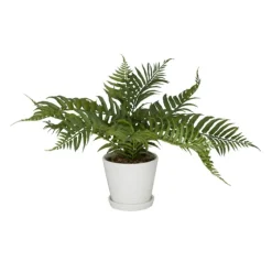River Rock Fern In Ribbed White Planter-Kirkland's Home Cheap