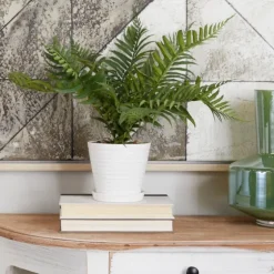 River Rock Fern In Ribbed White Planter-Kirkland's Home Cheap