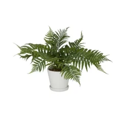 River Rock Fern In Ribbed White Planter-Kirkland's Home Cheap