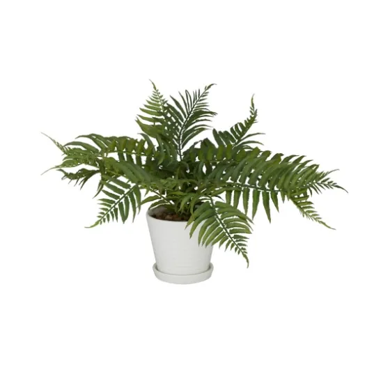 River Rock Fern In Ribbed White Planter-Kirkland's Home Cheap