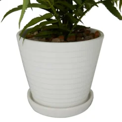 River Rock Fern In Ribbed White Planter-Kirkland's Home Cheap