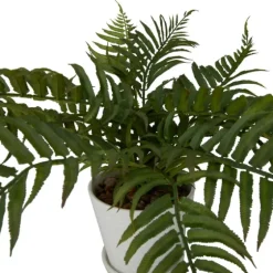River Rock Fern In Ribbed White Planter-Kirkland's Home Cheap