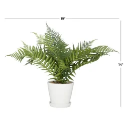 River Rock Fern In Ribbed White Planter-Kirkland's Home Cheap
