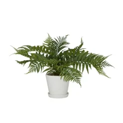 River Rock Fern In Ribbed White Planter-Kirkland's Home Cheap