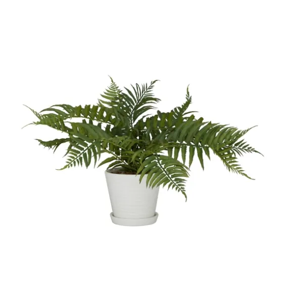 River Rock Fern In Ribbed White Planter-Kirkland's Home Cheap