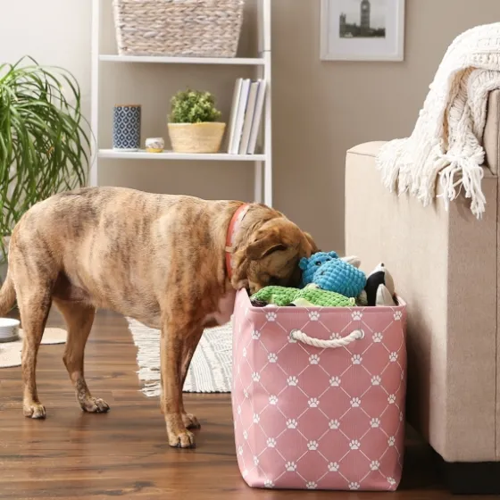 Rose Paw Trellis Rectangle Basket, 17.5 In.-Kirkland's Home Sale