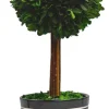 Round Boxwood Topiary In Black Planter, 14 In.-Kirkland's Home Cheap