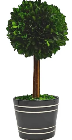 Round Boxwood Topiary In Black Planter, 14 In.-Kirkland's Home Cheap