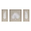 Sabal Rice Paper Palm Shadowbox Plaques, Set Of 3-Kirkland's Home Cheap