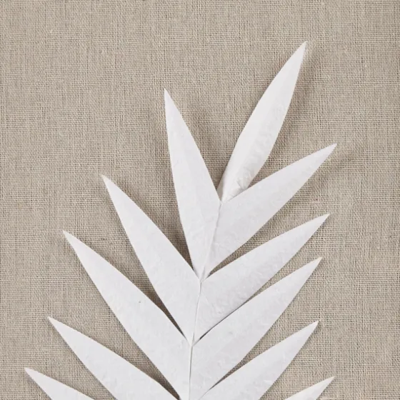 Sabal Rice Paper Palm Shadowbox Plaques, Set Of 3-Kirkland's Home Cheap