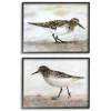 Sandpiper On Coast Framed 2Pc Canvas Art Print Set-Kirkland's Home Shop