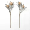 Sandy Protea Stem-Kirkland's Home Discount