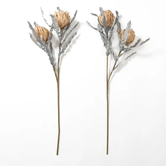 Sandy Protea Stem-Kirkland's Home Discount
