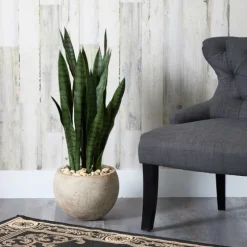 Sanserviera River Rock Plant In Sand Planter-Kirkland's Home Cheap