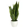 Sansevieria Arrangement In White Planter-Kirkland's Home Cheap