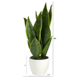 Sansevieria Arrangement In White Planter-Kirkland's Home Cheap