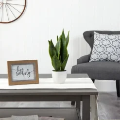 Sansevieria Arrangement In White Planter-Kirkland's Home Cheap