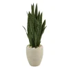 Sansevieria Arrangement In Sand Planter-Kirkland's Home Online
