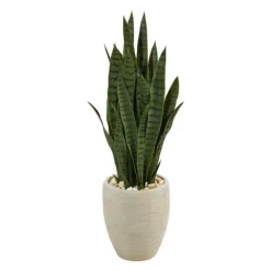 Sansevieria Arrangement In Sand Planter-Kirkland's Home Online