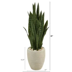Sansevieria Arrangement In Sand Planter-Kirkland's Home Online