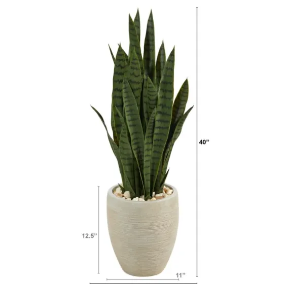 Sansevieria Arrangement In Sand Planter-Kirkland's Home Online