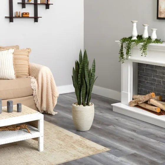 Sansevieria Arrangement In Sand Planter-Kirkland's Home Online