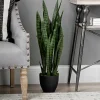 Sansevieria Floor Plant In Black Planter-Kirkland's Home Clearance