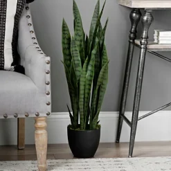 Sansevieria Floor Plant In Black Planter-Kirkland's Home Clearance