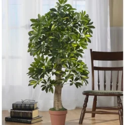 Schefflera Tree In Terra Cotta Planter, 4 Ft.-Kirkland's Home Clearance