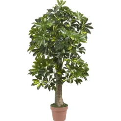 Schefflera Tree In Terra Cotta Planter, 4 Ft.-Kirkland's Home Clearance