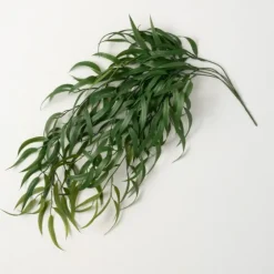 Seeded Blade Eucalyptus Spray-Kirkland's Home Clearance