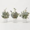 Seeded Eucalyptus Branches In Cubes, Set Of 3-Kirkland's Home Store