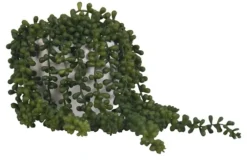 Seedum In White Bowl Planter-Kirkland's Home Cheap